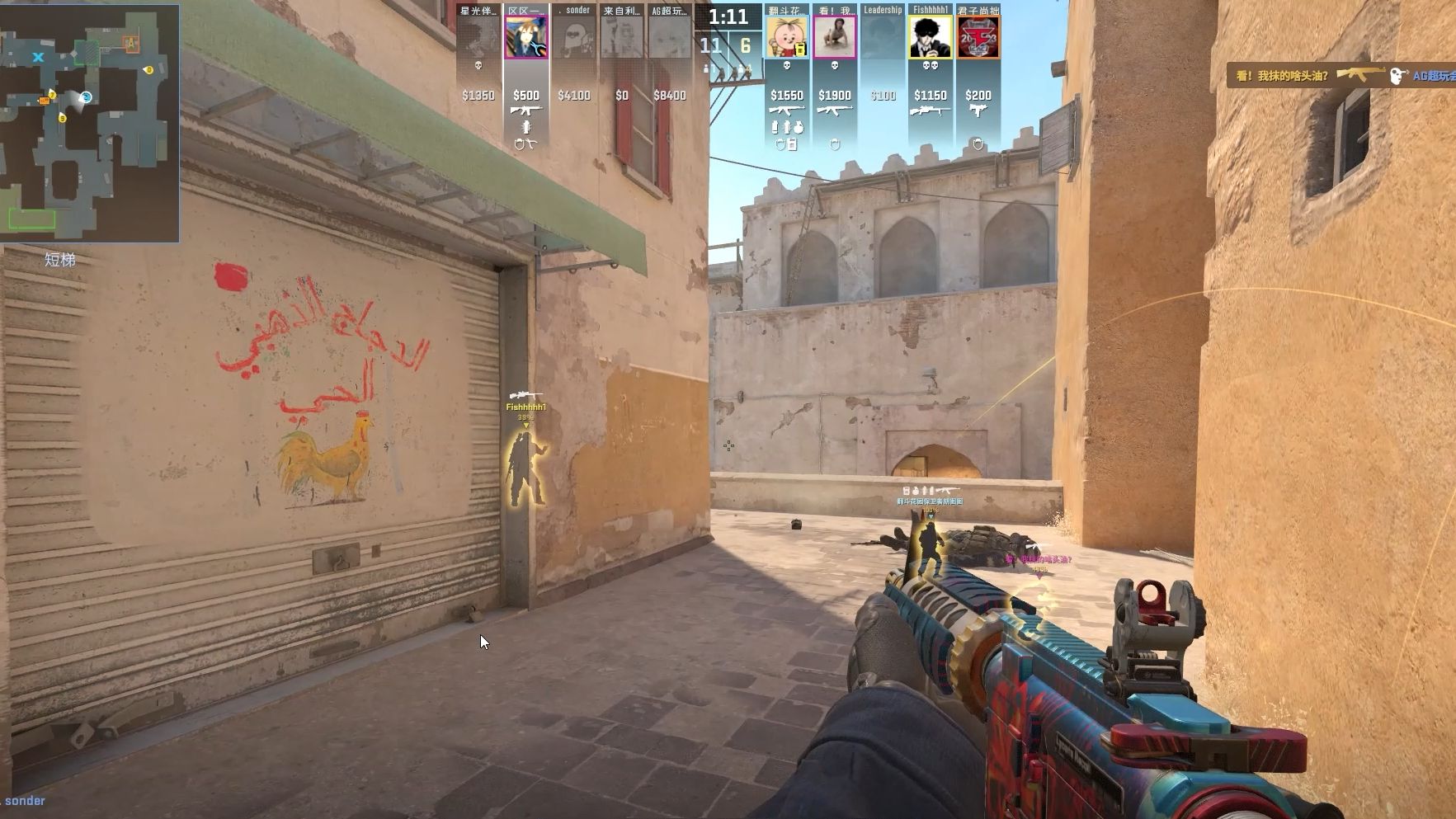 荷兰新生代 荷兰新生代