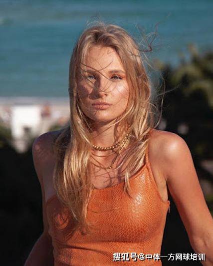 皮革的选择 皮革的选择